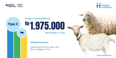 Qurban Kambing/Domba : Tipe C | Rp 1.975.000