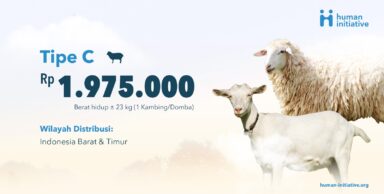Qurban Kambing/Domba : Tipe C – Rp 1.975.000