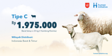 Qurban Kambing/Domba : Tipe C | Rp 1.975.000