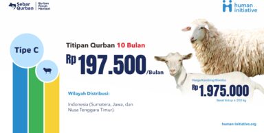 Titipan Qurban Minigold Balikpapan | Kambing/Domba Tipe C Rp 197.500/ Bulan