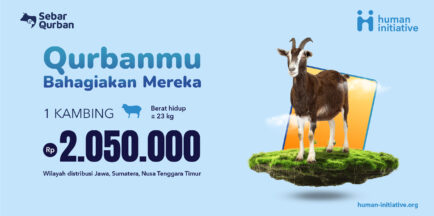 Kambing/Domba | Rp 2.050.000 (-+23Kg)